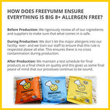 FreeYumm Allergen Free Granola Bars, Gluten Free, Dairy Free, Nut Free Snacks for Kids, Total of 15 Bars (Chocolate Chip):